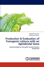 Production & Evaluation of Transgenic Lettuce with an Aphidicidal Gene af M Monzur Hossain