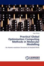Practical Global Optimization Computing Methods in Molecular Modelling af Jiapu Zhang