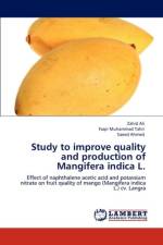 Study to Improve Quality and Production of Mangifera Indica L. af Zahid Ali