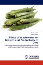 Effect of Wastewater on Growth and Productivity of Okra af Saima Kausar