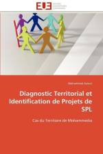 Diagnostic Territorial Et Identification de Projets de Spl af Azroul-M