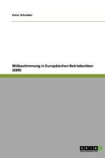 Mitbestimmung in Europaischen Betriebsraten (EBR) af Peter Schroeder
