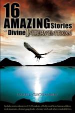 16 Amazing Stories of Divine Intervention af James L Lambert