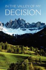 In The Valley of My Decision af Andy Collins Muravha