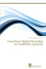 Transition Metal Fluorides on Ca(BH4)2-systems af Christian Bonatto Minella