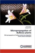 Micropropagation of Bulbous plants af Shagufta Naz
