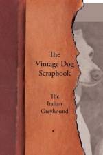 Vintage Dog Scrapbook - The Italian Greyhound af Various