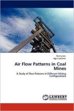 Air Flow Patterns in Coal Mines af Kenny Lee