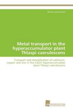 Metal transport in the hyperaccumulator plant Thlaspi caerulescens af Leitenmaier Barbara