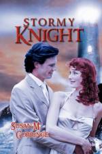 Stormy Knight af Susan M Gorringe