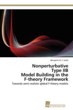Nonperturbative Type IIB Model Building in the F-theory Framework af Jurke Benjamin H F