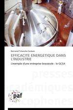Efficacite Energetique Dans l'Industrie af Fankam-B