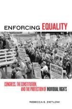 Enforcing Equality af Rebecca E Zietlow