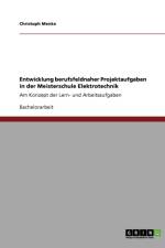 Entwicklung berufsfeldnaher Projektaufgaben in der Meisterschule Elektrotechnik af Professor of Philosophy Christoph (Universitaet Potsdam) Menke