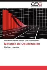 Metodos de Optimizacion af Vergara S Juan Carlos