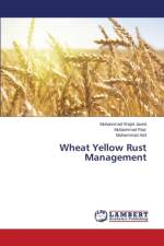Wheat Yellow Rust Management af Javed Muhammad Wajid