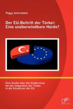 EU-Beitritt der Turkei af Peggy Schirmboeck