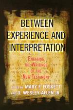 Between Experience and Interpretation