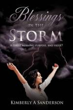 Blessings in the Storm af Kimberly A Sanderson