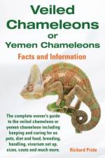 Veiled Chameleons or Yemen Chameleons af Richard Pride