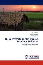 Rural Poverty in the Punjab Province, Pakistan af Abdul Ghafoor