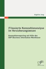 IT-basierte Kennzahlenanalyse im Versicherungswesen af Angelina Jung
