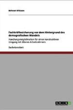 Fachkraftesicherung VOR Dem Hintergrund Des Demografischen Wandels af Behnam Mirzaee