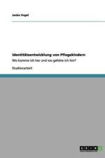 Identitatsentwicklung von Pflegekindern af Janka Vogel