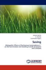 Saving af Ashebir Berhie
