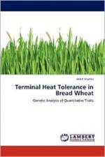 Terminal Heat Tolerance in Bread Wheat af Ankit Sharma