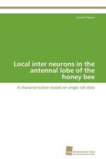 Local inter neurons in the antennal lobe of the honey bee af Meyer Anneke