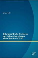 Bilanzrechtliche Probleme des Jahresabschlusses einer GmbH & Co KG af Lukas Hechl