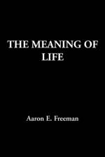 Meaning of Life af Aaron E Freeman