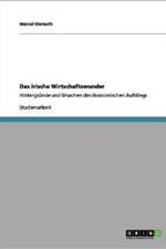 Irische Wirtschaftswunder af Marcel Demuth