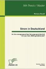 Strom in Deutschland - Ist die erzeugungsseitige Versorgungssicherheit bis zum Jahr 2022 gewahrleistet? af Mariana Klaudt