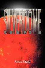 Silverdome af Abba Shaib