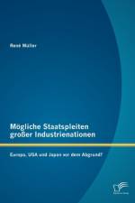 Moegliche Staatspleiten grosser Industrienationen af Rene Muller