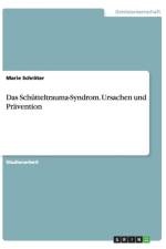 Das Schutteltrauma-Syndrom. Ursachen und Pravention af Marie Schroeter
