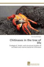 Chitinases in the tree of life af Tim Staufenberger