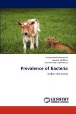 Prevalence of Bacteria af Jawaria Ali Khan