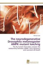 neurodegenerative Drosophila melanogaster AMPK mutant loechrig af Mandy Cook