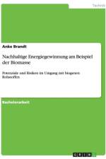 Nachhaltige Energiegewinnung Am Beispiel Der Biomasse af Anke Brandt