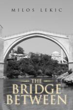 Bridge Between af Milos Lekic