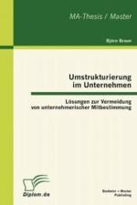 Umstrukturierung im Unternehmen af Bjoern Braun