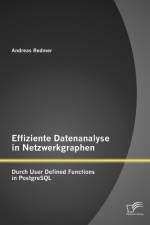 Effiziente Datenanalyse in Netzwerkgraphen af Andreas Redmer
