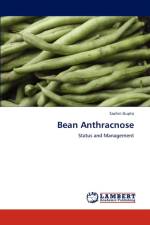 Bean Anthracnose af Gupta Sachin
