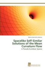Spacelike Self-Similar Solutions of the Mean Curvature Flow af Marcio Rostirolla Adames