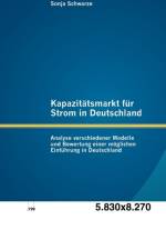 Kapazitatsmarkt fur Strom in Deutschland af Sonja Schwarze
