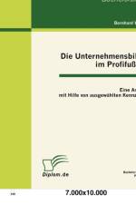Unternehmensbilanz im Profifussball af Bernhard Wipfler