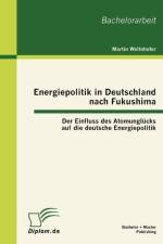 Energiepolitik in Deutschland nach Fukushima af Martin Wellnhofer
